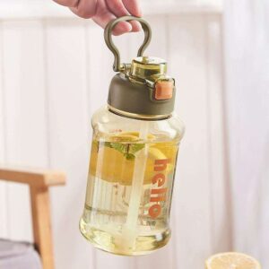 Transparent Glass Infuser Bottle with Handle