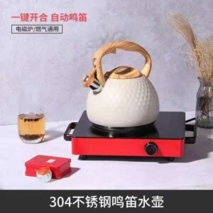 Stainless Steel Whistling Tea Kettle